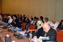 The League of Arab States participated in the meeting