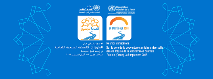 Ministerial meeting paves the way for universal health coverage in the Region