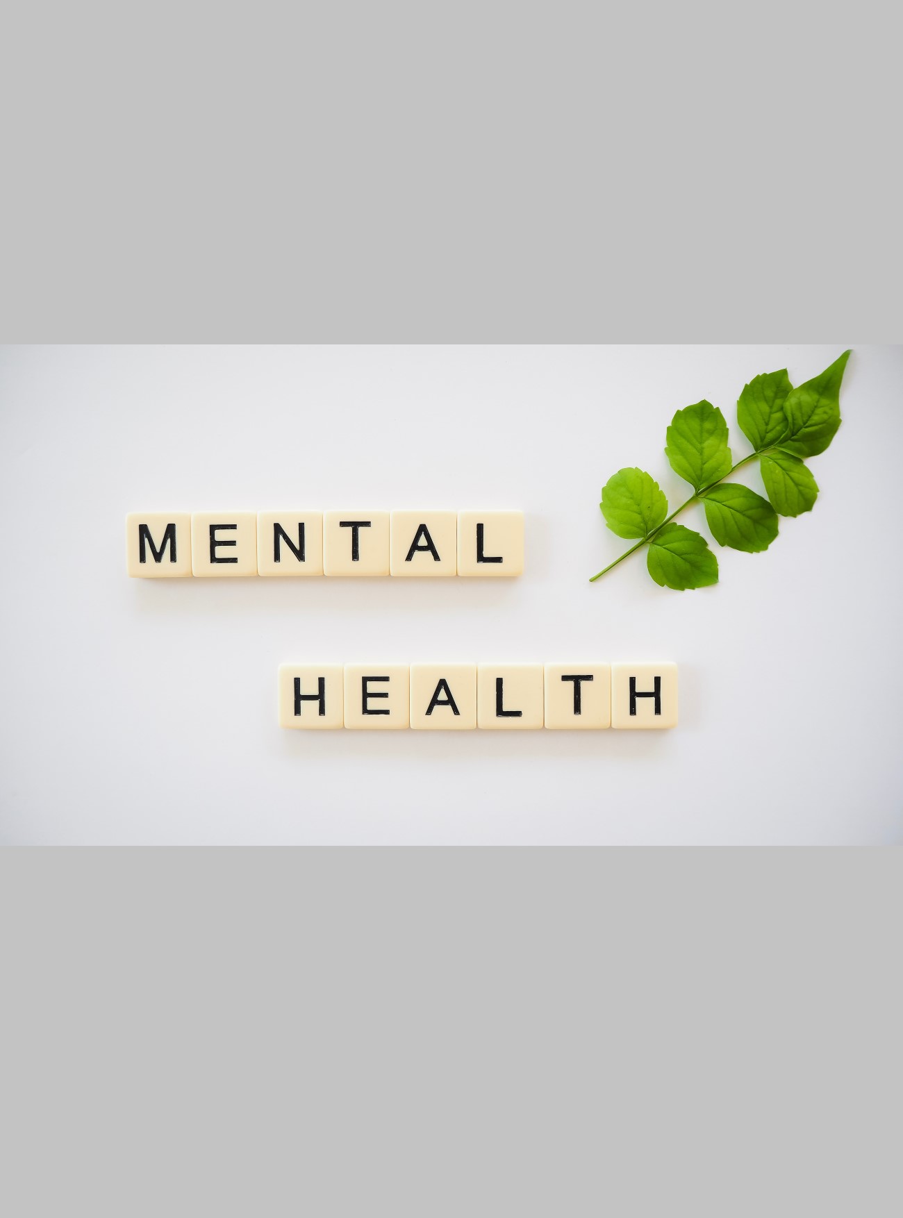 integrating mental health in PHC online course