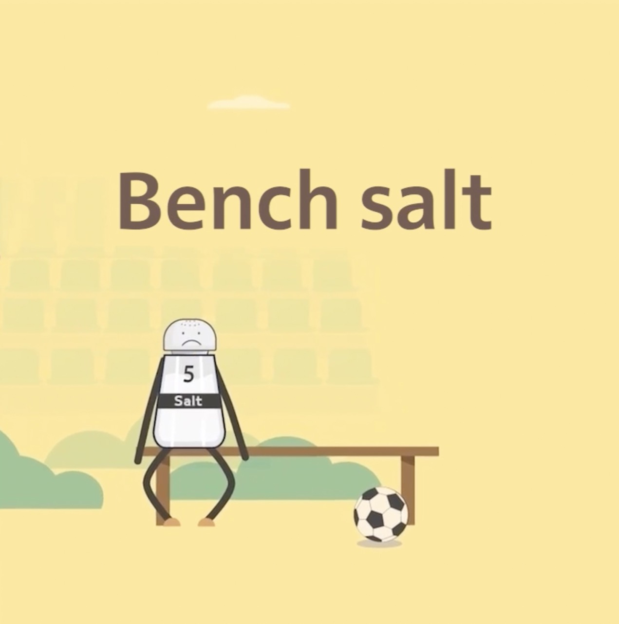 en_6_bench_salt_thumbnail