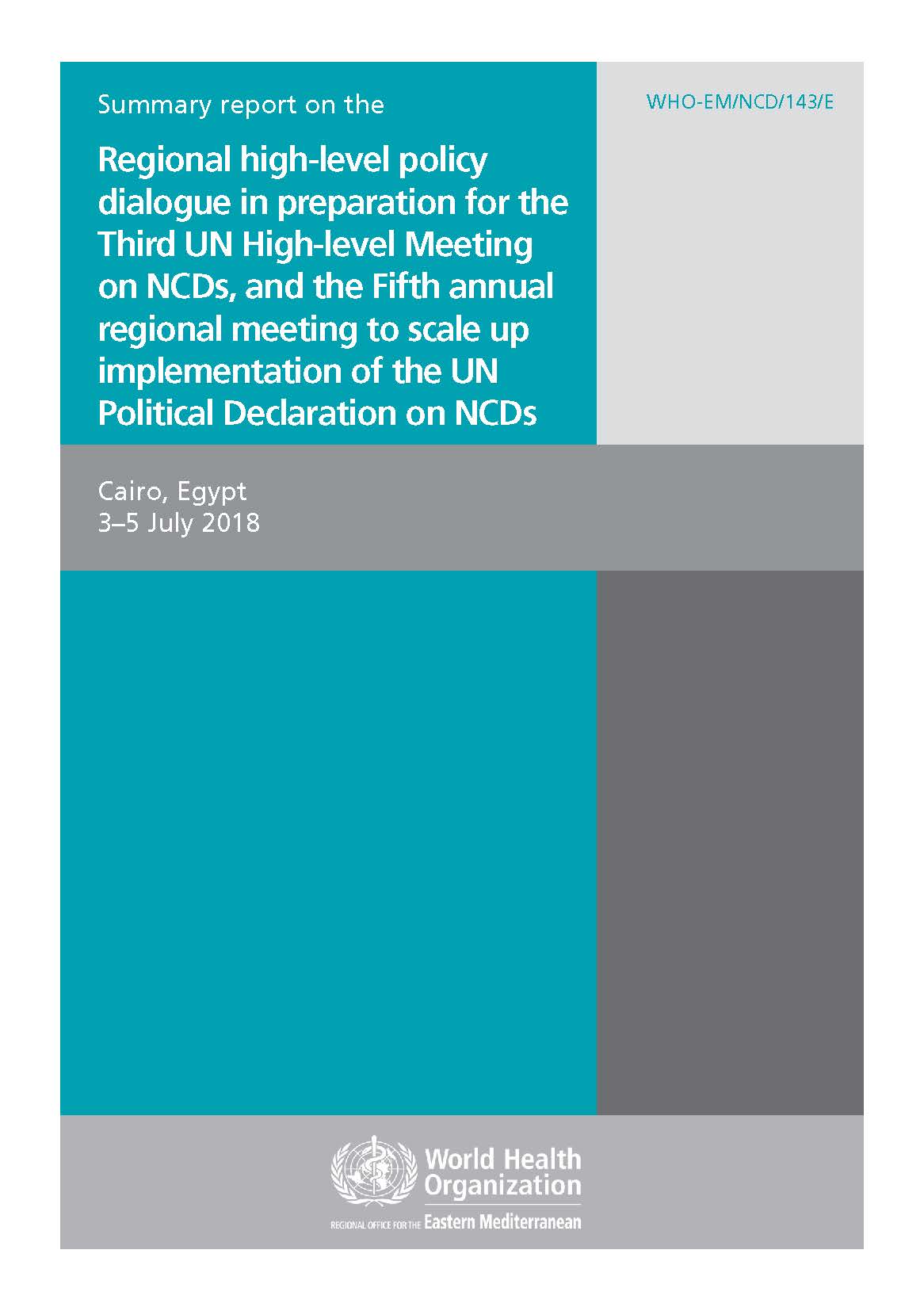 Summary report fifth NCDs meeting