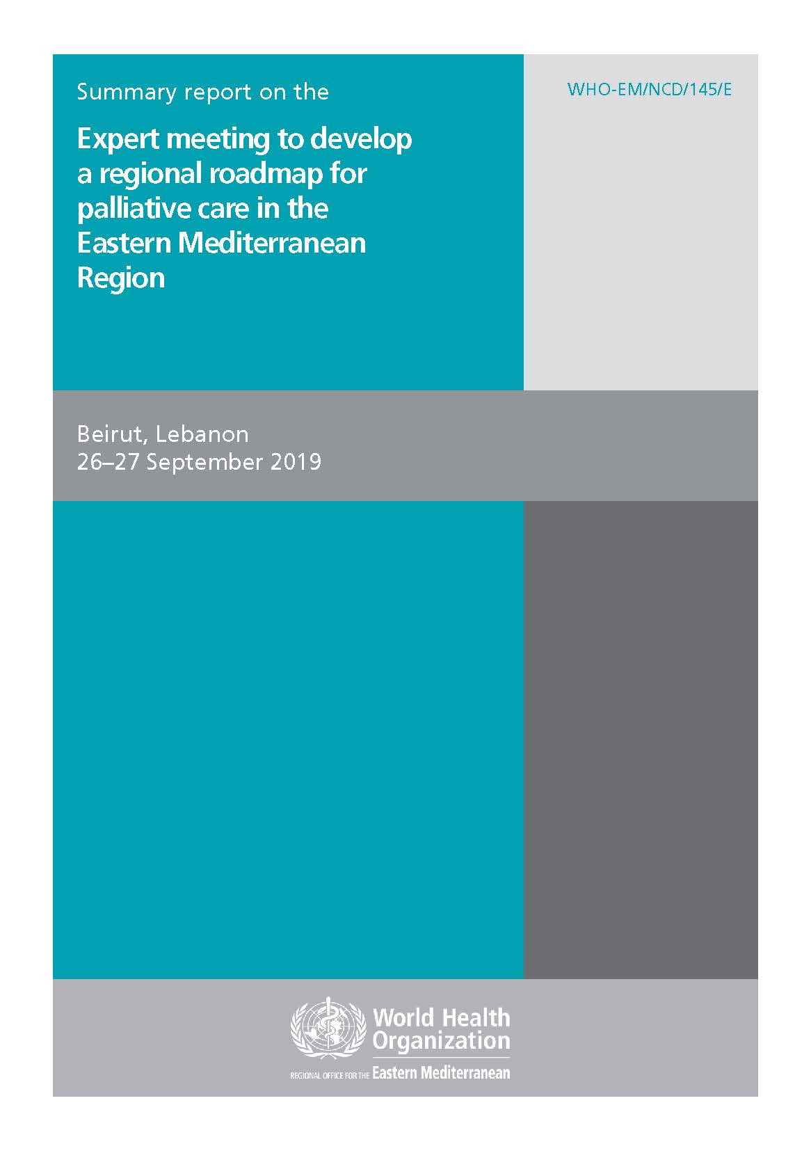 Summary report palliative care roadmap meeting