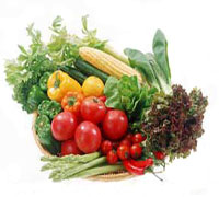 A display of a variety of vegetables A display of a variety of vegetables