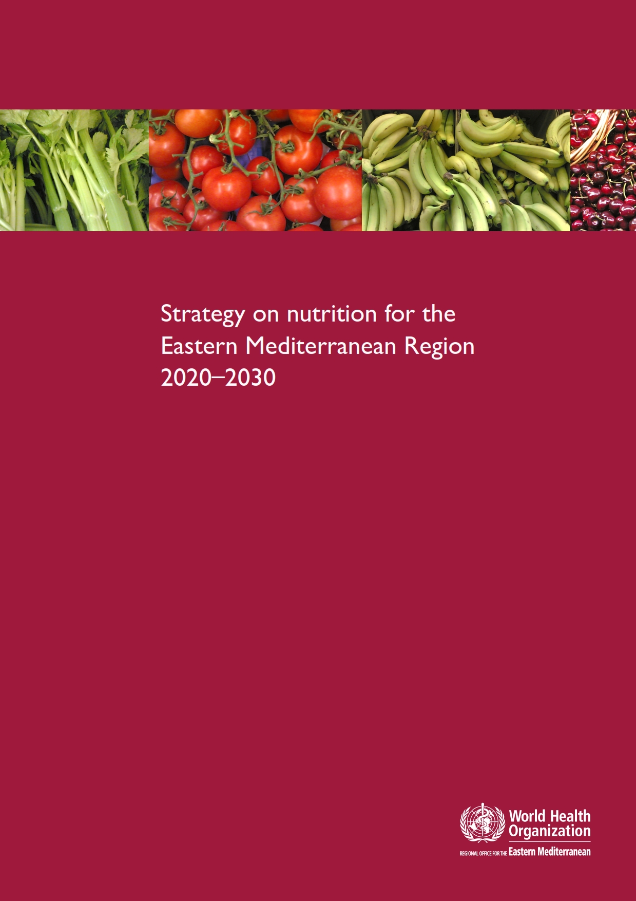 regional_nutrition_strategy_2020_001