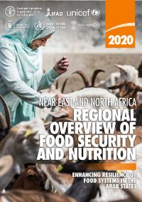 تقرير للأمم المتحدة يحذر من أن الجوع وسوء التغذية في المنطقة العربية يقفان في طريق تحقيق القضاء على الجوع بحلول 2030