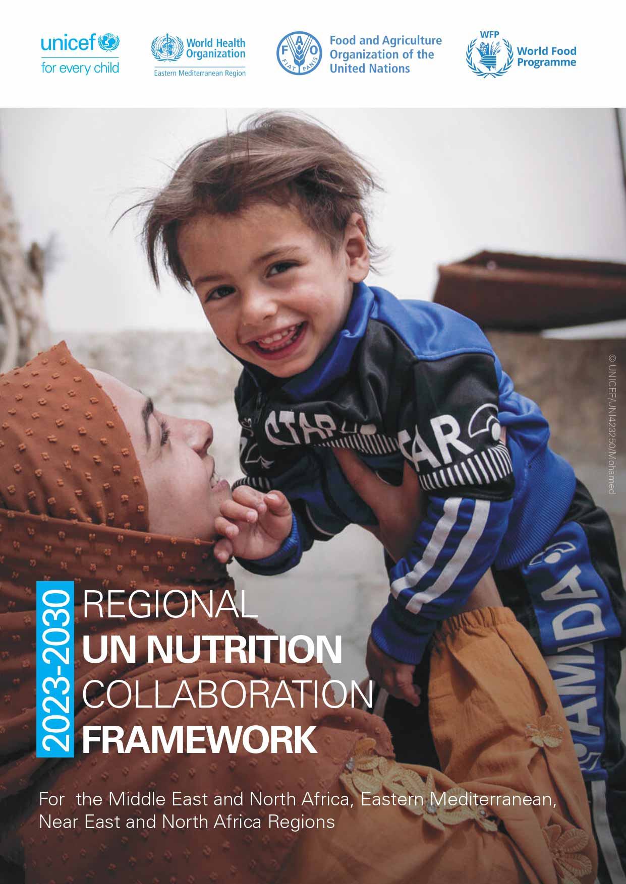 إطار الأمم المتحدة الإقليمي للتعاون في مجال التغذية 2023-2030