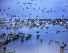 A village in Pakistan is almost submerged by the flood water in 2010