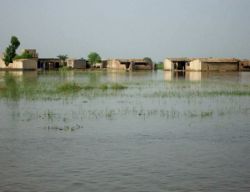 Buildings submerged in water and crops destroyed by the flood in Sindh