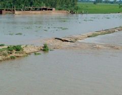 Aftermath of flash floods in Narowal, Punjab, Pakistan, shows crops destroyed by the water.