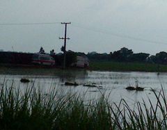 Flash floods in Narowal, Punjab, Pakistan, destroy crops.