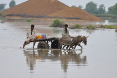 People go about their daily business even during the flood in  Sanghar, Sindh