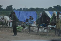 Displaced people set up camps in Sanghar, Sindh
