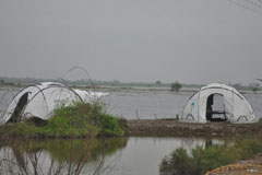 Roadside camps in Thatta, Sindh, surrounded by floodwater in 2011