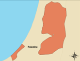 WHO Palestine