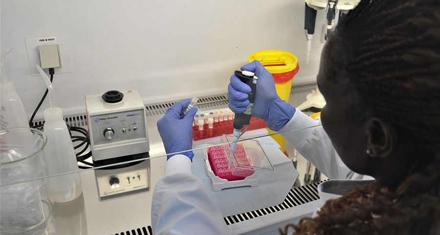 Laboratory technologist Agnes Chepkurui prepares samples for the final stage of testing for polioviruses within the laboratory. This stage of the process is conducted if suspected polioviruses are identified in the cell culture under a microscope, in order to find out what kind of virus it is. WHO/L.Dore