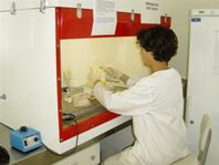 A scientist at work in an EMR poliovirus laboratory