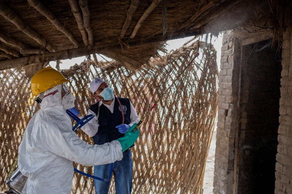 Indoor residual spraying activies are carried out by the WHO team at a village in Sohbatpur district. Photo credit: WHO Pakistan/Saiynabashir