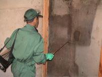A technician performing indoor residual spraying to reduce the survival of sandflies that enter houses