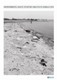 Thumbnail of Environmental health situation analysis in Somalia 2011 Thumbnail of Environmental health situation analysis in Somalia 2011