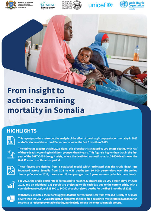 From insight to action: examining mortality in Somalia