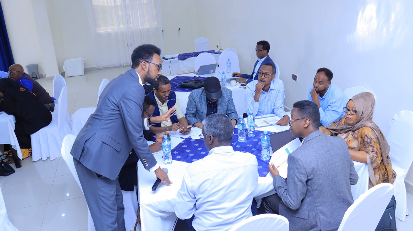 WHO supports Somaliland as it finalizes a new operational plan to strengthen public health systems