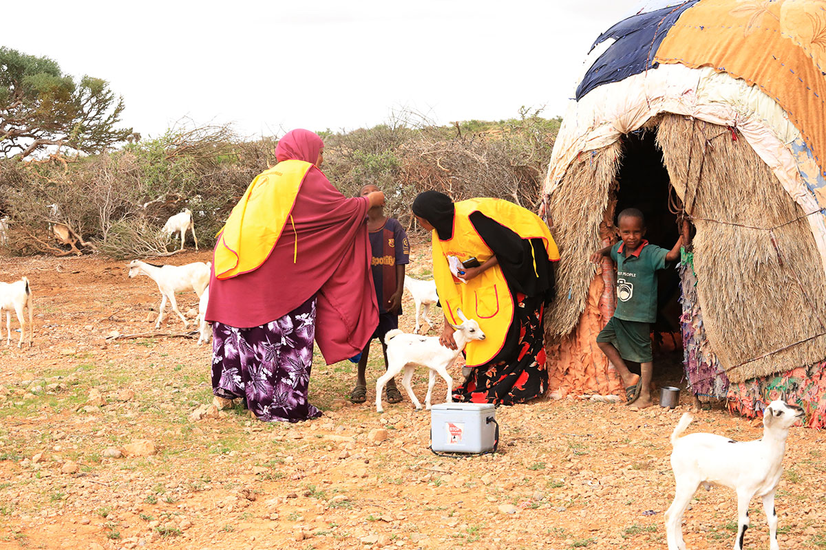 Somalia’s health minister and partners plan to intensify efforts to end 7-year variant poliovirus outbreak