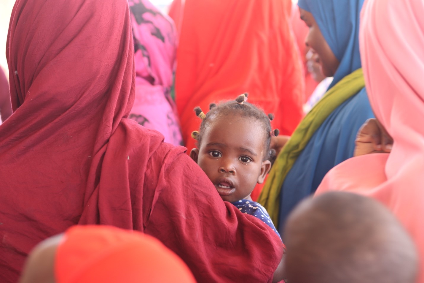 International Women's Day: WHO and Ministry of Health strive to achieve gender equity in Somalia by employing technological innovations