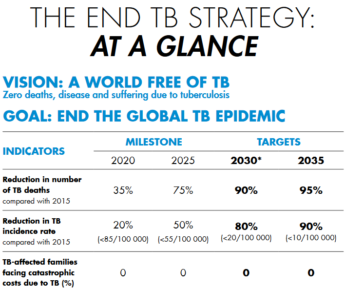 end-tb-strategy