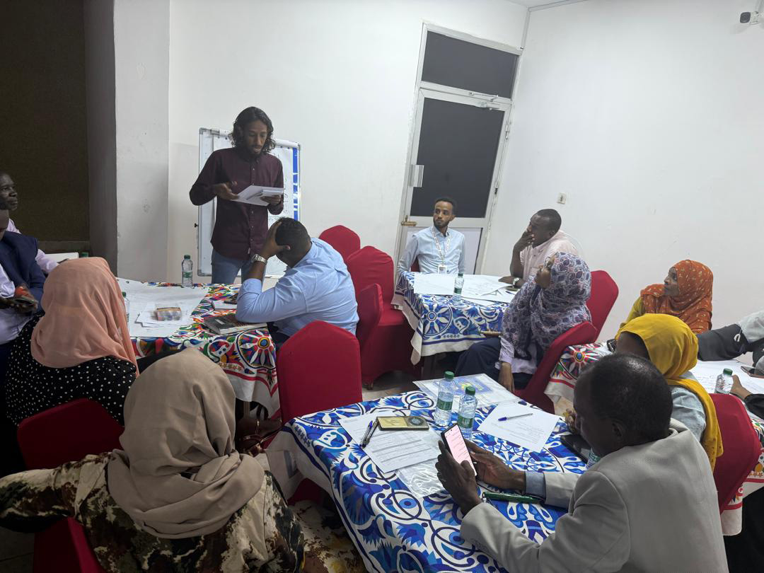 Participants engage in a group discussion during the Environmental and Social Safeguards Workshop held in Red Sea State, Sudan, under the SHARE project with support from WHO and the World Bank.