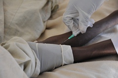 Blood specimen is being collected from a suspected yellow fever patient