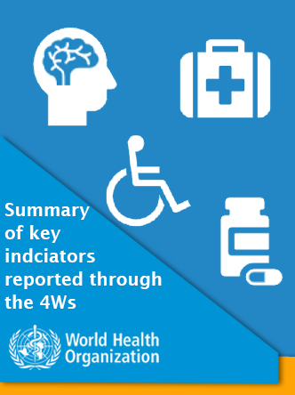 Summary of key indicators reported through the 4Ws