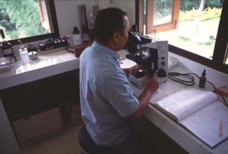 A health worker using a light microscope to examine stained blood-smear slides for signs of malaria parasites