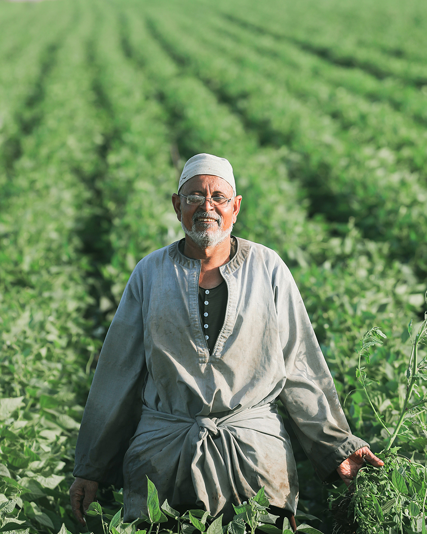 help_tobacco_farmers_switch_crops