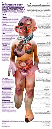 L'image représente un corps humain dévasté par les maladies engendrées par le tabac, montrant les troubles dont chaque partie du corps peut être atteinte.