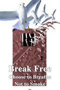 صورة للوحة اليوم العالمي لمكافحة التبغ للعام 2001، وتظهر أربعة طيور يتحررون من ققصهم المكون من سجائر، ويحلقون بعيداً عن الضرر الناجم عن التدخين السلبي