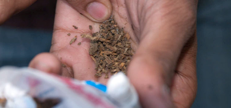 La vérité sur la consommation de tabac sans fumée