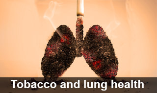World No Tobacco Day, 31 May World No Tobacco Day, 31 May