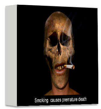 Smoking destroys health and causes death