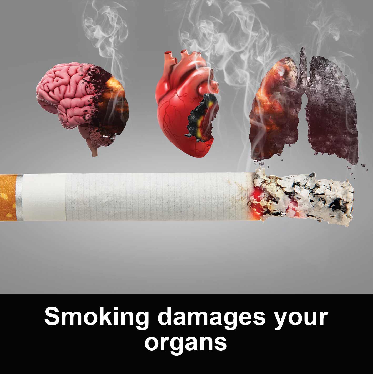 smoking-damages-your-organs