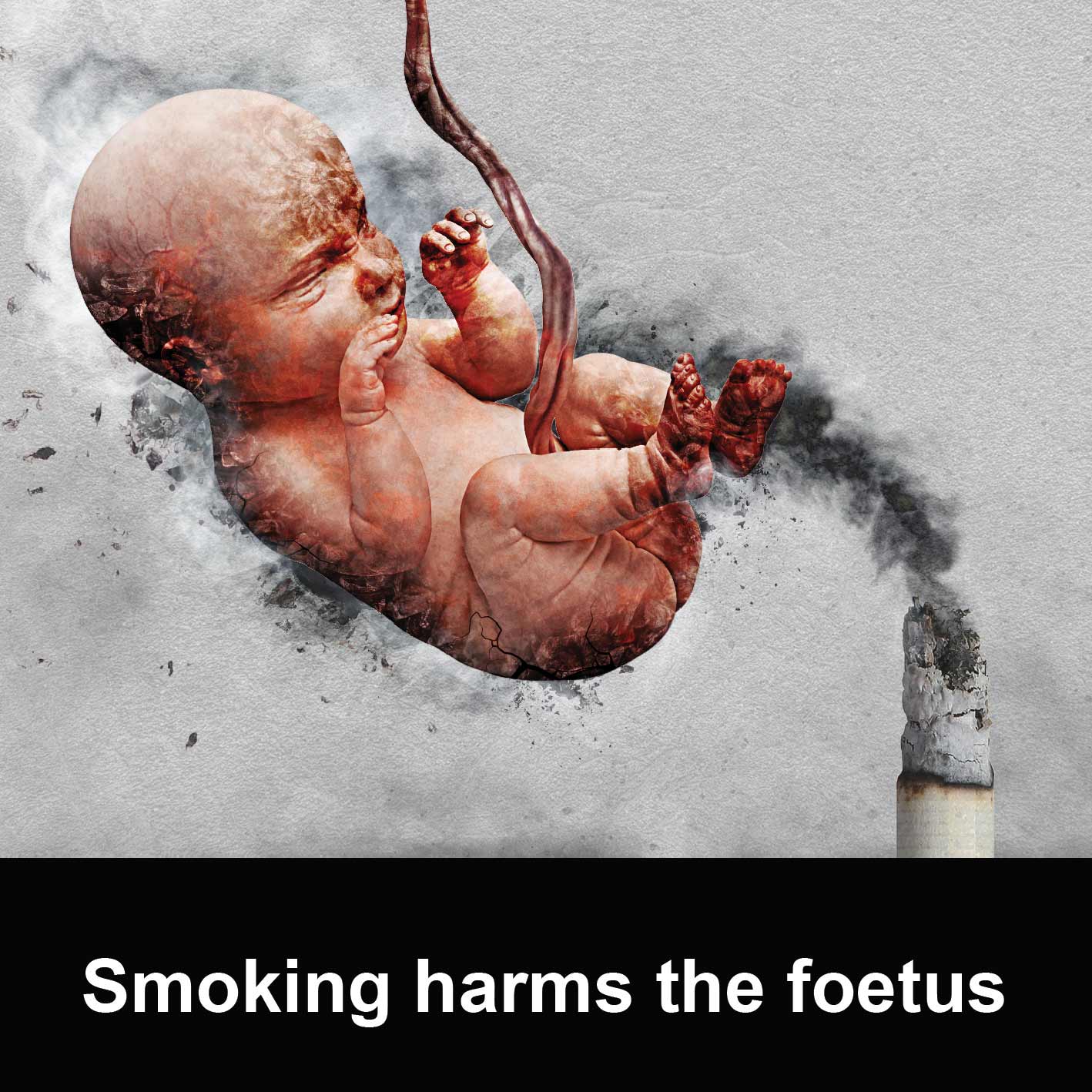 smoking-harms-the-foetus