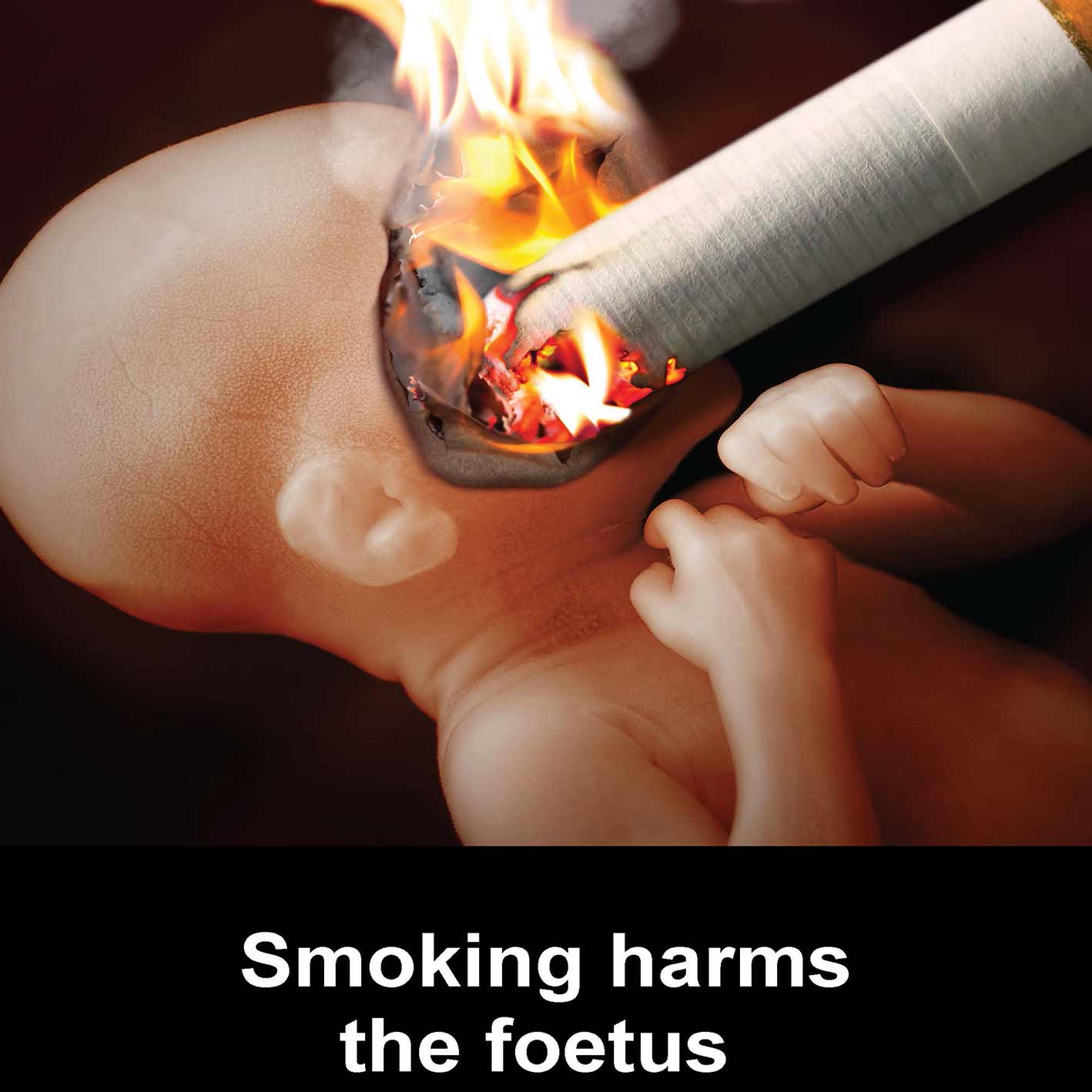 smoking-harms-the-foetus