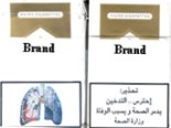 Image shows pictorial and textual health warnings from Jordan on how smoking impacts health and the lungs, causing cancer and death.