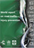 Thumbnail of World report on road traffic injury prevention