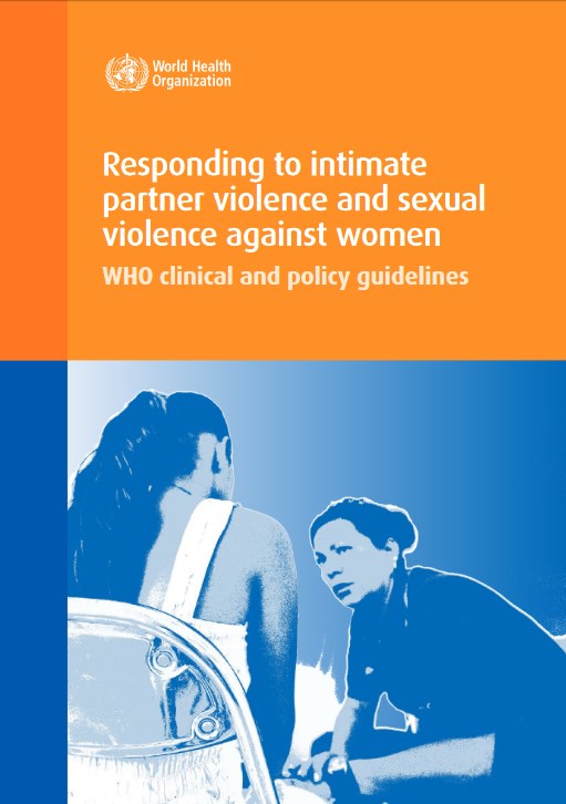 التصدي لعنف العشير والعنف الجنسي ضد النساء (2013)