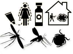 Take simple measures to protect yourself from vector-borne diseases