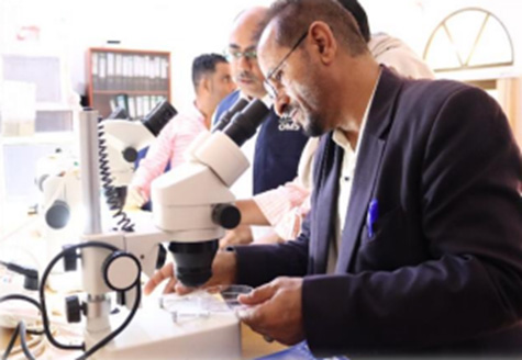 الاستثمار والتنفيذ والابتكار للحد من عبء مرض الملاريا في اليمن