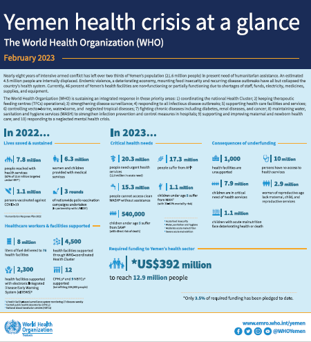 Yemen’s health crisis: WHO calls for increased funding to save millions of Yemenis
