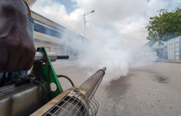 In addition to Aden, the dengue fever control campaign also covered Ateq district, Shabwa governorate. Two training workshops on integrated community case management were also organized, respectively in Al-Khokha district (Al Hudaydah governorate) and Al-Azariq district (Al-Dhalea governorate). 