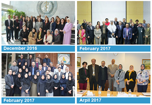 RPD meetings held during 2016-2017
