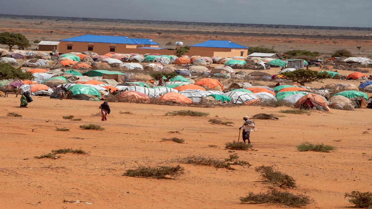 Health systems recovery in fragile and conflict-affected situations in the Eastern Mediterranean Region